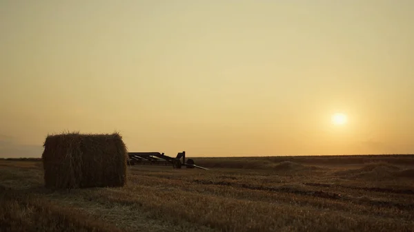 金色落日时 麦田上的麦草和收获设备在一起 海草堆在干枯的农田里 夜晚的茅草草甸里 机器组合在一起 农业农村景观观概念 — 图库照片