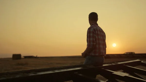 Agricultor Examinando Cosecha Campo Trigo Atardecer Dorado Hombre Agrónomo Pie —  Fotos de Stock