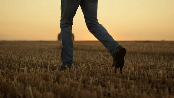 農家のブーツを閉じる黄金の夕日で干し草畑を歩く 穀物の収穫期に乾燥した農地を調査する未知の農学者 農業景観が近い 農業収穫の概念 — ストック写真