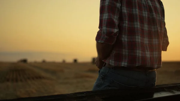 日没の農地で収穫した後に干し草の畑を見て未知の農家の所有者 認識できない男性農学者の労働者は 朝の日の出に乾燥したベールを検査します 近代農業の概念 — ストック写真