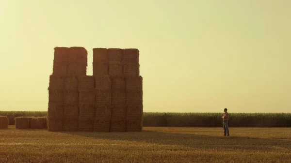 Farmer Looking Haystack Field Golden Sunset Modern Agribusiness Industry Unknown — Stockfoto
