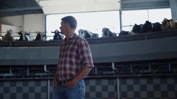 Veehouderijdeskundige Inspecteert Melkdraaimolen Die Alleen Melkproductiefaciliteit Staat Landbouwarbeiders Die Melkproduktie — Stockfoto