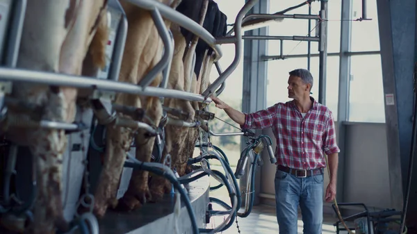Agricultural Business Owner Inspecting Milking Carousel System Dairy Farm Cowshed — Foto de Stock