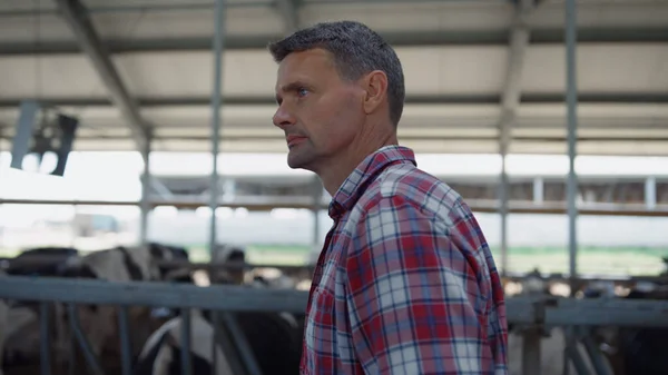 Serious Barn Worker Walking Cowshed Inspecting Production Process Close Agricultural — Foto de Stock
