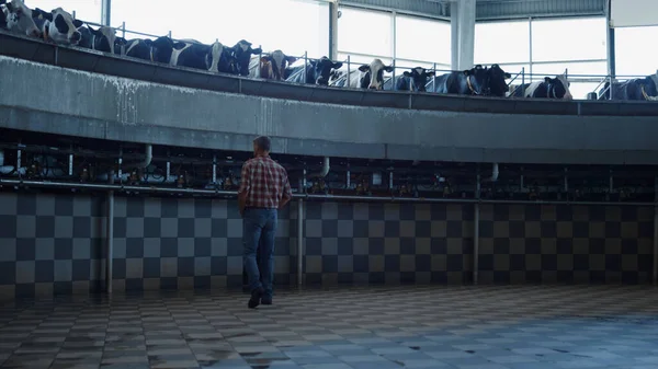 Farmer Examining Work Milking System Watching Rotary Automatic Carousel Technological — Stockfoto