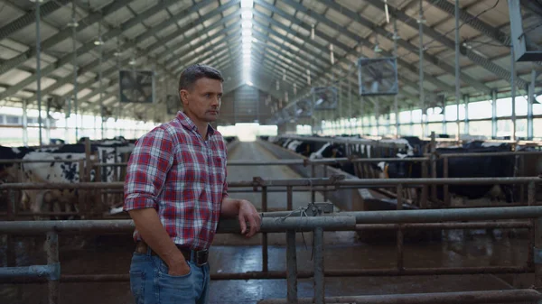 Serious Professional Farmer Standing Cows Stall Leaning Fence Cowshed Worker — Foto de Stock
