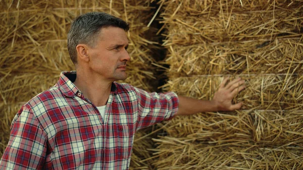 Farmer Lean Hay Stack Farmland Closeup Pensive Man Inspecting Wheat — Φωτογραφία Αρχείου