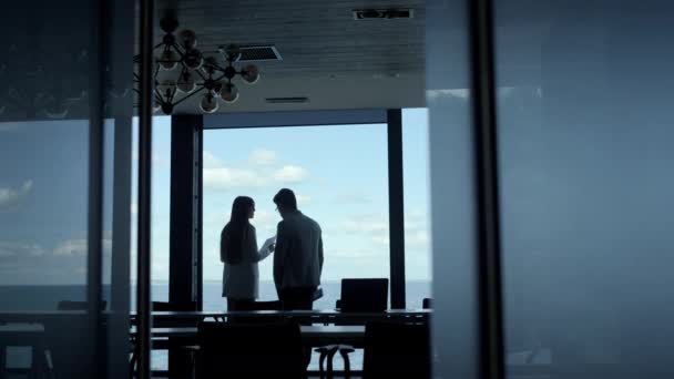 Two Coworkers Discussing Business Deal Panorama Window Managers Silhouettes Talk — Video