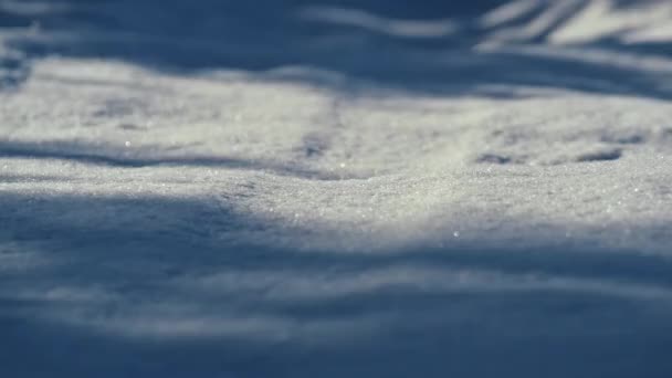 Superfície Neve Pitoresca Brilhando Luz Solar Inverno Close Camada Neve — Vídeo de Stock