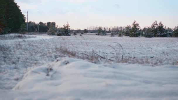 Белый Мягкий Снег Покрывающий Почву Тонким Сухим Слоем Вид Снежного — стоковое видео