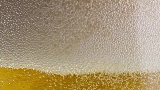 泡のようなビールが透明なガラスのクローズアップを泡立てる 大麦のアルコール飲料明確な容器 ホッピー成分の液体の泡が確立します きれいなガラス製品を育てる黄金の塊 醸造コンセプト — ストック動画