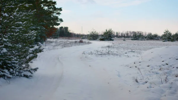 Vacío Camino Rural Cubierto Nieve Con Clima Nublado Invierno Hermoso —  Fotos de Stock