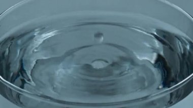 Su birikintisi şeffaf sıvı cam kapakçığı sıçrattı. Soğuk su yüzeyine yavaşça düşüyor. Dalgalar farklı yönlere hareket ediyor. Süper yavaş çekim. Ekolojik kokteyl makrosu tazeleniyor