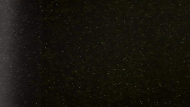 Closeup Champagne Belletjes Textuur Zwarte Achtergrond Macro Uitzicht Kleine Luchtbellen — Stockvideo