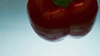 Lezzetli biberli su sıçratıyor. Taze organik sebze, şeffaf sıvıyı düşürüyor. Düşük kalorili fitness salatası pişiriyorum. Güzel mevsimlik sebze malzemesi reklamı.