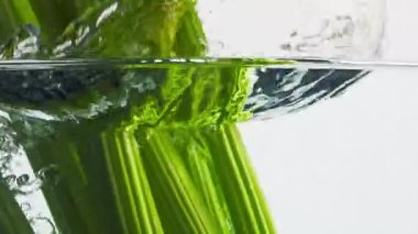 Kereviz sapı su yüzeyine yakın çekim yapar. Sağlıklı organik gıda reklamı. Taze yeşil bitki ışık arka planında şeffaf sıvıya dönüşür. Fitness düşük kalorili malzeme. Vejetaryen yeme konsepti