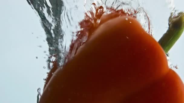 Rode Paprika Spatten Vloeistof Lichte Achtergrond Heerlijke Smakelijke Peperdruppel Stijgend — Stockvideo