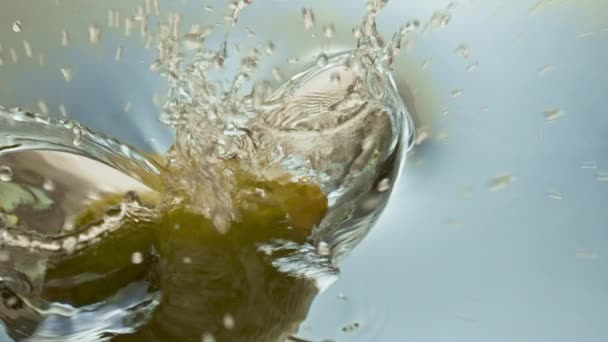 Biologische Citroen Opspattend Water Close Mooie Oppervlakte Reflecterende Verse Citrus — Stockvideo