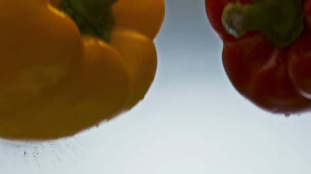 新鮮な鐘ピーマンが水を閉じます 透明度の高い液体トップビューをドロップおいしいカラフルな野菜 2つのおいしいパプリカの野菜を洗う 健康的な菜食主義の栄養コンセプト — ストック動画
