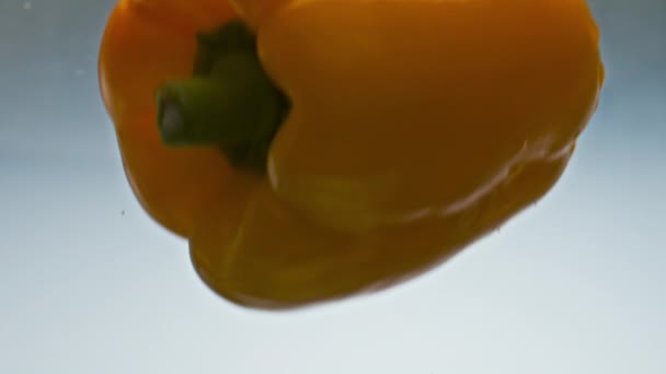 閉じ鐘コショウ滑らかな水を振りかける 透明液が飛び交う有機野菜の美味しさ 低カロリーのサラダのための新鮮な黄色の成分洗浄 フィットネスベジタリアン栄養コンセプト — ストック動画