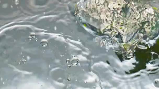 Тропические Лаймы Падают Крупным Планом Свежие Органические Фрукты Плещутся Пузырящейся — стоковое видео