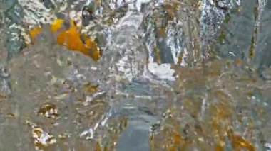 Lezzetli limonlar su sıçratıyor. Turunçgillerden yaz içeceği pişiriyorum. Tropik ekşi narenciye, ışık arka planına şeffaf sıvı bırakıyor. Güzel meyve ürünleri ticari konsepti