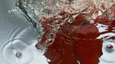 Yakın plan kırmızı biber arkaplanda su sıçratıyor. Sıcak baharatlı sebze sekmesi pürüzsüz su yüzeyine düşer. Lezzetli kırmızı biber reklamı. Sağlıklı sebzeleri yıkıyorum. Mutfak sanatı organik gıda konsepti.