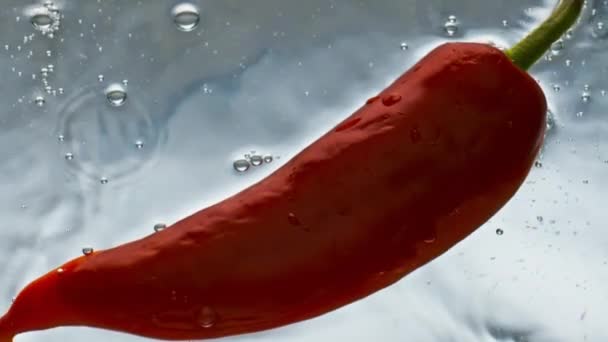 把新鲜的辣椒水放在水面上漂浮 用红热的蔬菜烹调 轻质背景下的有机花园配料洗净 美味的红辣椒在商业拍摄 健康生食概念 — 图库视频影像
