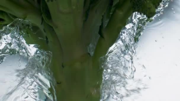 Closeup Brócolis Deixando Cair Superfície Água Closeup Salpicos Vegetais Verdes — Vídeo de Stock