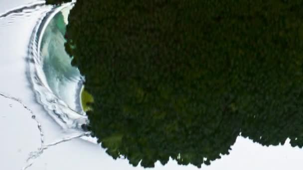 Здоровый Брокколи Брызг Воды Светлом Фоне Крупным Планом Зеленый Овощ — стоковое видео