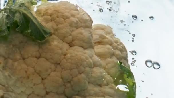 Agua Cabeza Coliflor Primer Plano Flota Fondo Claro Veggie Orgánico — Vídeos de Stock