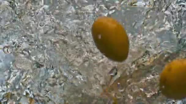 Kartoffeln Fallen Blubberndes Wasser Großaufnahme Köstliches Bio Gemüse Hellen Hintergrund — Stockvideo