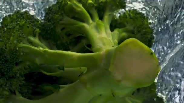 Heerlijke Broccoli Spatwater Lichte Achtergrond Close Gezonde Vegetarische Kop Die — Stockvideo