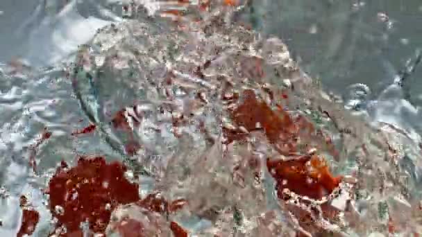 赤いパプリカの落下水の滑らかな表面を閉じます 有機野菜が泡状の液体を滴下スプラッシュ 新鮮なピーマンがコンテナに浮かんでいます 美しいスパイシーな料理成分商業 — ストック動画