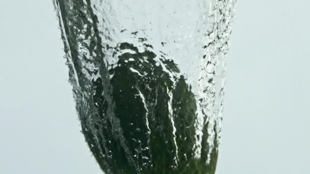 Тропический Авокадо Падает Вода Светлом Фоне Зелёное Растение Прозрачном Стеклянном — стоковое видео
