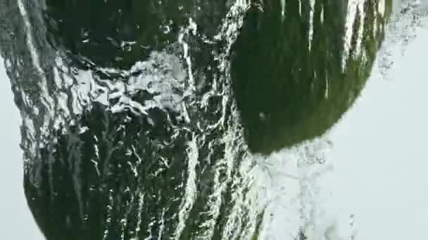 Свіжі Авокадо Падають Воду Світлому Фоні Крупним Планом Тропічні Фрукти — стокове відео