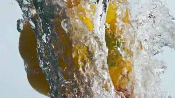 Paprikaschoten Die Heller Nahaufnahme Hintergrund Wasser Fallen Frisches Gemüse Spritzt — Stockvideo