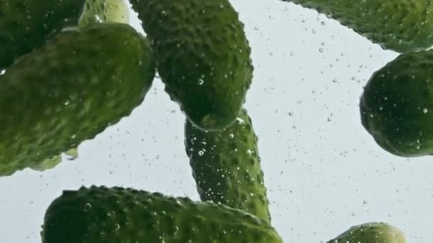 Pepinos Close Sobem Superfície Água Fundo Claro Legumes Verdes Frescos — Vídeo de Stock