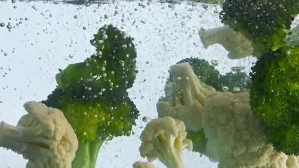 封闭成熟的生菜花花椰菜漂浮在清澈的水中 有气泡 新鲜维生素蔬菜在水下超慢速流动 白底色拉味道鲜美的有机配料 — 图库视频影像