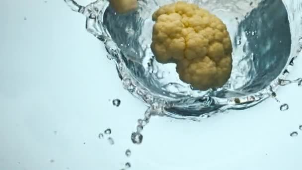 新鲜成熟的花椰菜片以超慢速运动掉进清澈的水中 生的有机卷心菜掉了下来 在白色的背景上喷出了水花 透明液体中的维生素天然蔬菜 — 图库视频影像