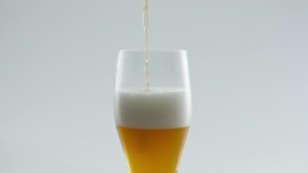 Pouring Wheat Froth Beer Glass White Background Close Stream Golden — Stock Video