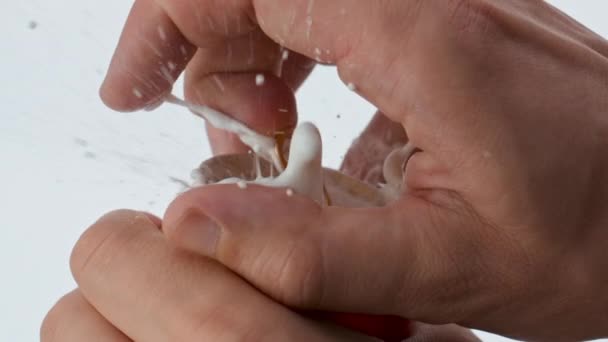 Ouverture Boîte Bière Métal Avec Éclaboussures Mousse Ralenti Super Fermer — Video