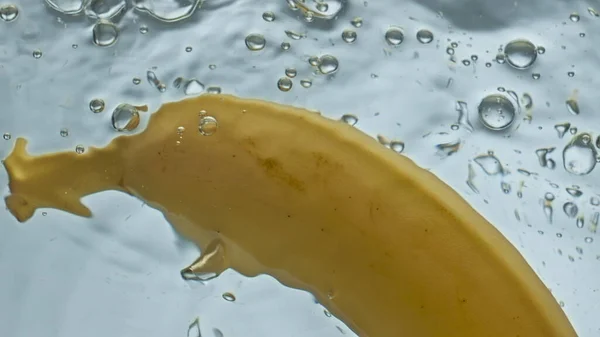 Szekrény Friss Banánvíz Úszó Fény Háttérben Sárga Trópusi Gyümölcs Hullik — Stock Fotó