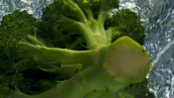 Brokoli Lezat Memercikkan Air Dalam Penutupan Latar Belakang Cahaya Kepala — Stok Foto