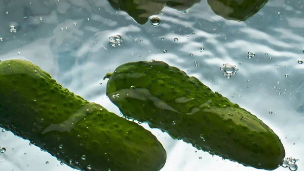 Closeup organic cucumbers water float in light background. Fresh green veggies washing falling liquid. Crispy garden vegetables for cooking low calorie fitness salad. Culinary delight healthy raw food