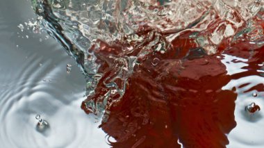 Yakın plan kırmızı biber arkaplanda su sıçratıyor. Sıcak baharatlı sebze sekmesi pürüzsüz su yüzeyine düşer. Lezzetli kırmızı biber reklamı. Sağlıklı sebzeleri yıkıyorum. Mutfak sanatı organik gıda konsepti.