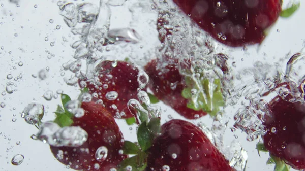 红色成熟草莓落水使气泡在超慢速运动中关闭 新鲜美味的浆果在白色的背景上喷出透明的液体 美味的水果漂浮在水下 健康食品 — 图库照片