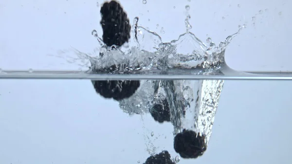 Leckere Beeren Plätschern Aqua Nahaufnahme Nasse Saftige Brombeerblätter Schwimmen Einem — Stockfoto