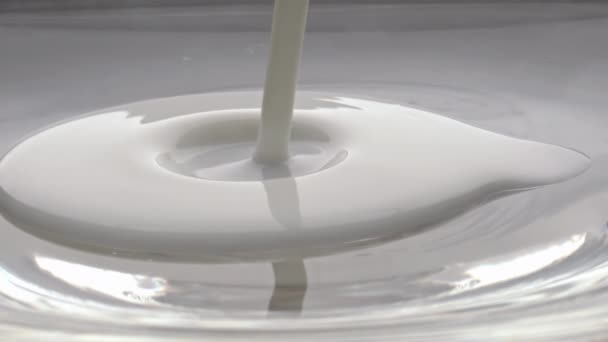 Temiz Süt Jeti Cam Kase Yakın Çekim Dökülüyor Makrodaki Şeffaf — Stok video