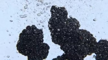 Bramble karbonatlı suyu yakın plan. Şeffaf camda dönen böğürtlenli maden suyu. Sıvı kadehte yüzen lezzetli yiyecekler. Ağır çekimde dönen vejetaryen tatlıları. 